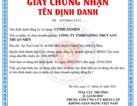 GIẤY CHỨNG NHẬN ĐỊNH DANH4655753-a6a12ee07d6160836109aa9bf2dde9cc.jpg