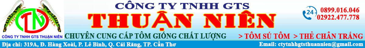 CÔNG TY TNHH GTS THUẬN NIÊN